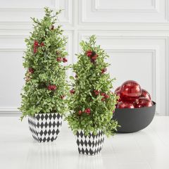 Boxwood Tree in Harlequin Pot Set of 2