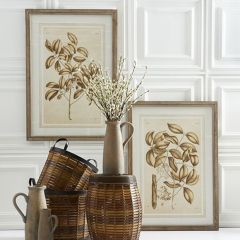 Framed Fig Print Wall Decor