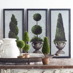 Topiary Wall Art Arrangement Set of 3