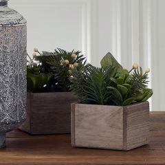 Glittered Succulent Arrangement Set of 2
