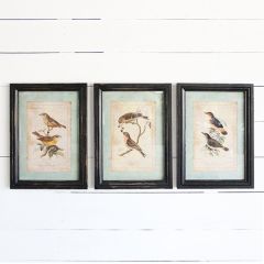 Woodland Bird Framed Wall Art Set of 3