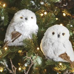 Owl Figures Set of 2