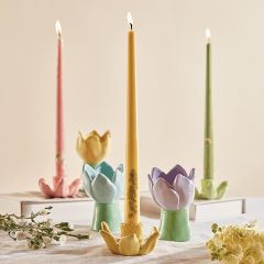 6 Piece Blooming Tulip Ceramic Accent Piece Collection