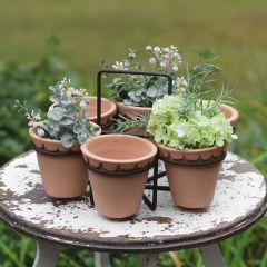 6 Pot Garden Planter Caddy