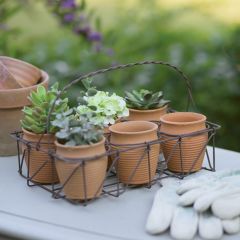 6 Pot Wire Garden Planter Caddy