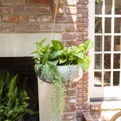 Galvanized Iron Hanging Planter Shallow