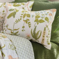 Botanical Print Standard Sham