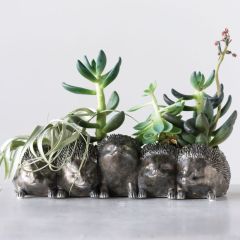 Hedgehogs Planter
