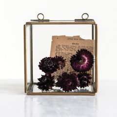 Brass Frame Glass Shadow Box