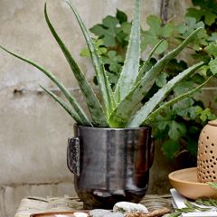 Reactive Glaze Handled Terracotta Vase