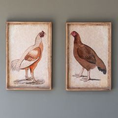 Game Fowl Wall Art Prints Set of 2