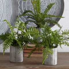 Faux Fern in Galvanized Pot Set of 3