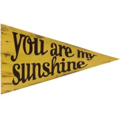 You Are My Sunshine Wood Pennant