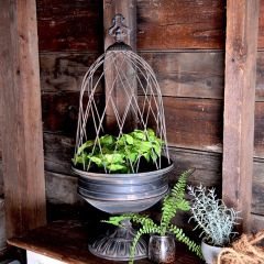 Wire Dome Pedestal Planter