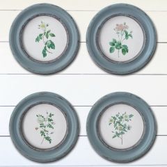 Framed Round Rose Wall Art Set of 4
