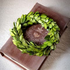 Mini All Natural Boxwood Wreath Set of 6