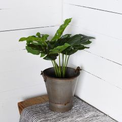 Traditional Bucket Planter