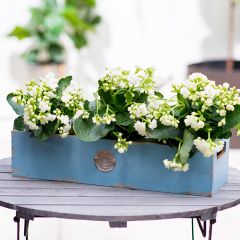 Rustic Farmhouse Wooden Box Planter