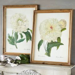 Framed Peony Prints Set of 2