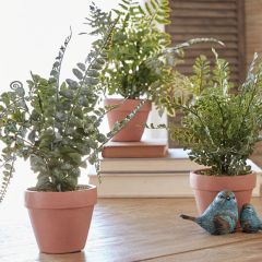 Decorative Potted Fern Set of 3