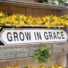 Grow in Grace Wall Sign