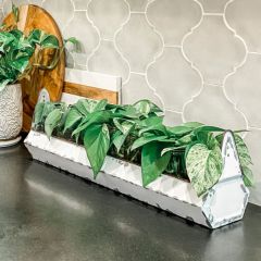 Mason Jars in Trough Tray