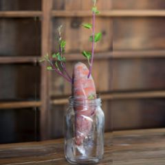 Crafted Sweet Potato