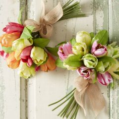 Mixed Tulip Bundle Set of 2