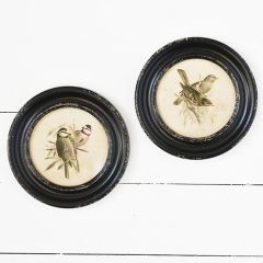 Framed Round Bird Wall Art Set of 2