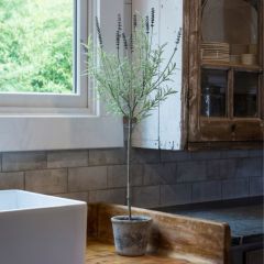 Lovely Lavender Topiary