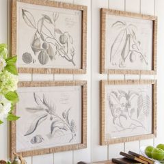 Sketch Style Framed Botanical Prints Print 4