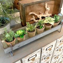 Metal Chicken Feeder Style Tray