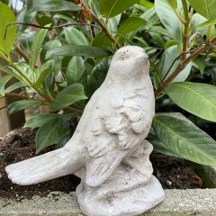 Carved Cement Bird Garden Statue