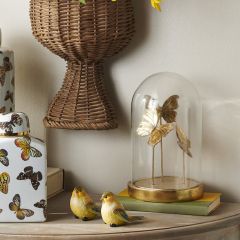 Elegant Butterflies Cloche Display