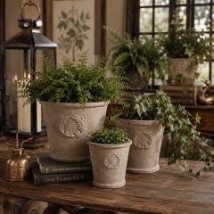 Laurel Wreath Terracotta Pot Set of 3