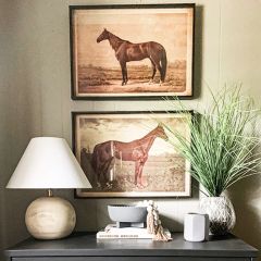 Horse In Pasture Framed Print Set of 2