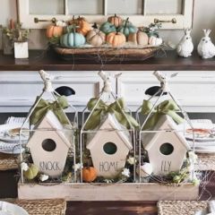 Triple Plant Display in Tabletop Tray