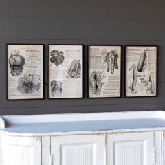 Framed Seed Catalog Prints Set of 4