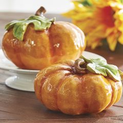 Glossy Finish Tabletop Pumpkins Set of 2