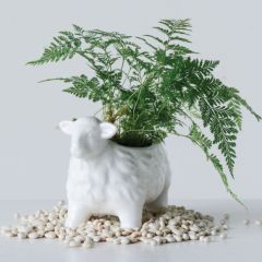 Terra Cotta Sheep Planter