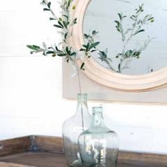 Olive Branch