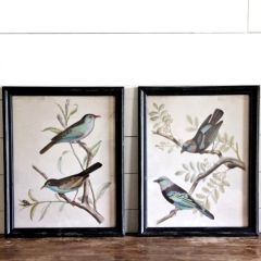 Aged Black Framed Bird Wall Decor Set of 2