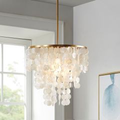 Shell Style Chandelier