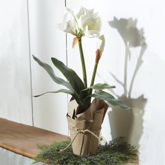 Potted Pretty Pale Faux Amaryllis