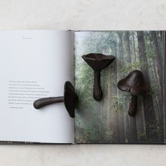 Aged Cast Iron Mushrooms Set of 3