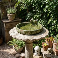 Aged Garden Bird Bath