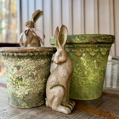 Aged Garden Pot 11 Inch