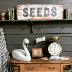 Aged SEEDS Canvas Wall Art