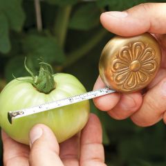 Antique Inspired Embossed Tape Measure