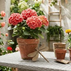 Antiqued Gold Dragonfly Figurine